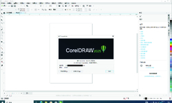 CorelDRAWGraphicsSuit 2025 v26.1.0.143（官版+key+免登录工具）