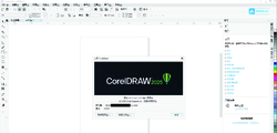 CorelDRAW Graphics Suite 2025 v26.1.0.143 中文直装版