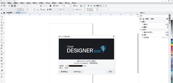CorelDRAW 2025 26.2.0.170 中文特别版+中文企业版（国内版2种）