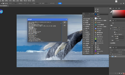 最新Adobe Photoshop Beta 2025 v26.7.0.3064 安装和免安装便携版更新