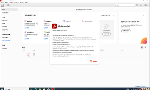 Acrobat Pro DC 2025.001.20521 神秘版本+官版PJ版+免安装版+定制