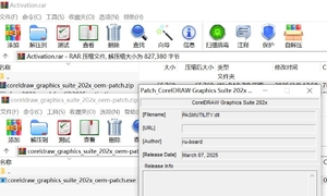 CorelDRAW 2025 防身百宝箱