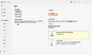 微软 Office 2024 批量许可版25年06月更新版