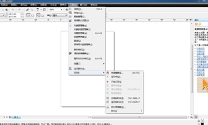 抠勒崽X4单文件简中便携版（win7适用）