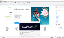 CorelDRAW Graphics Suite 2024 零售版