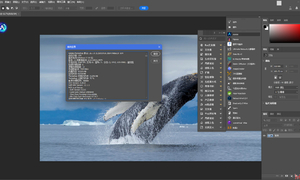 最新Adobe Photoshop Beta 2025 v26.7.0.3064 安装和免安装便携版更新