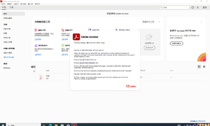 Acrobat Pro 2025.001.20474（32位和64位）by KpoJIuK大神（5月9日）