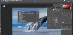 最新Adobe Photoshop Beta 2025 v26.7.0.3064 安装和免安装便携版更新