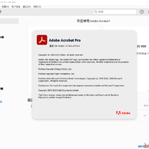 Adobe Acrobat Pro 2024.002.20736 x64 绿色便携版
