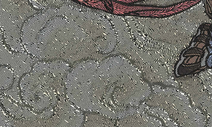 请问这个图象折光是什么软件生成的