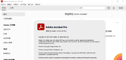 Adobe Acrobat Pro 2024.002.20736 x64 绿色便携版