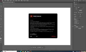 国内首发！illustrator 2025 29.5.1.141 多国语言PJ版（第九版）