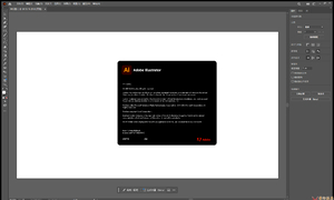 Illustrator 2025 29.0.0.186 独家便携版（送神秘安装版）