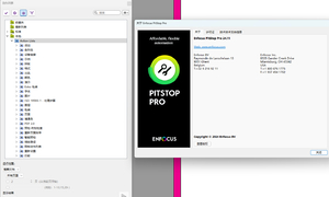 【双11福利】Enfocus PitStop Pro 2024_64位 动作汉化版 BY:秋东汉..