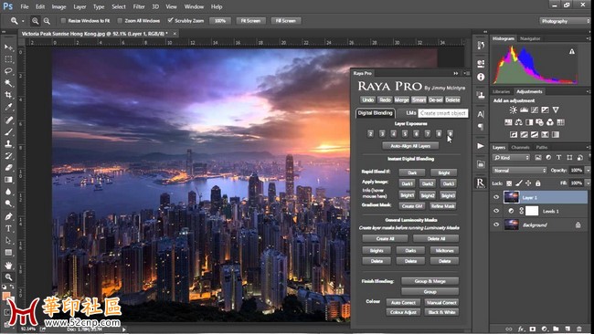 Raya Pro 1.1 Plug-in for Adobe Photoshop Win/Mac{tag}(1)