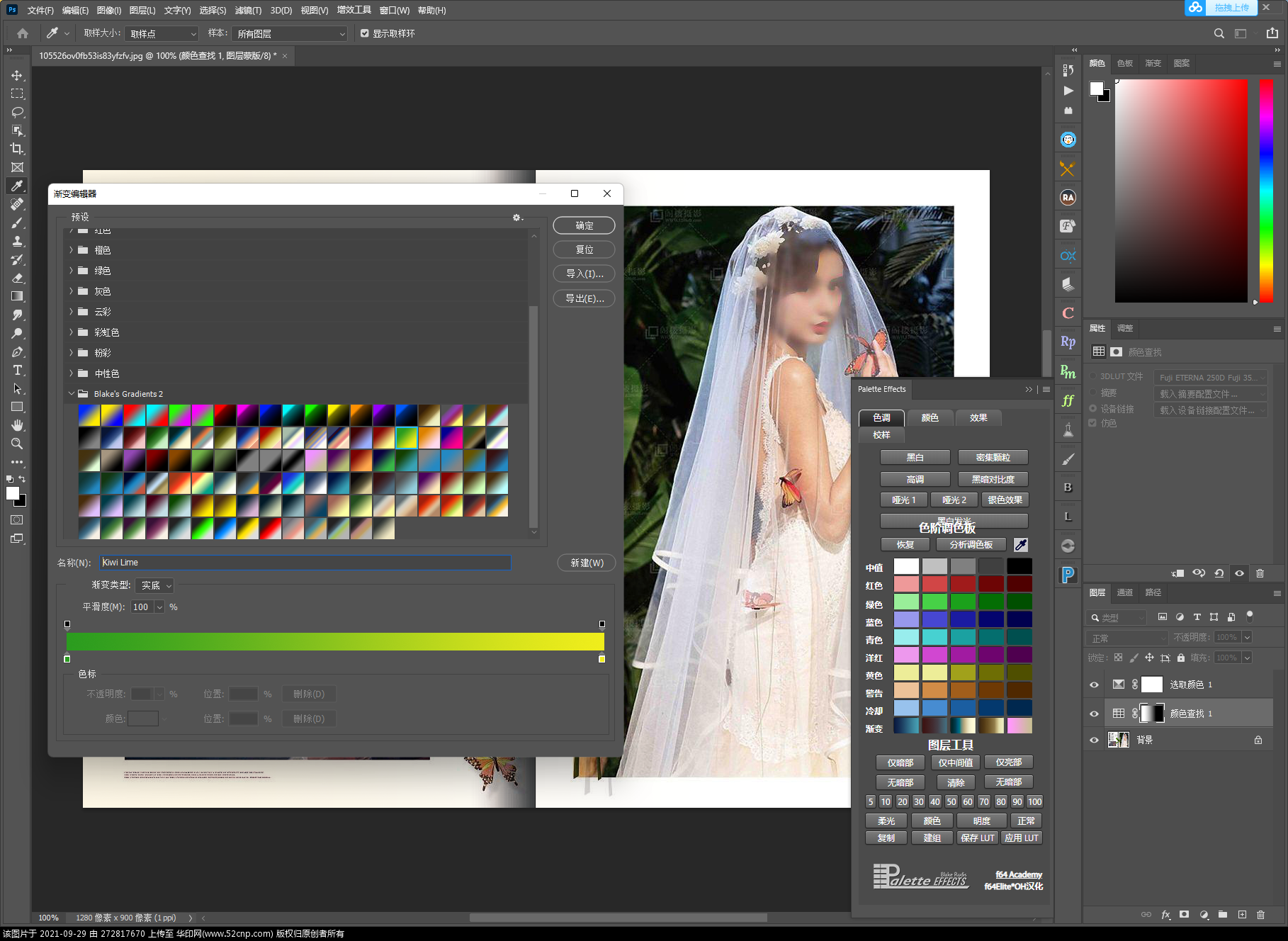PS色彩控制调色面板 Palette Effects 2.0汉化版＋英文傅用视频{tag}(3)
