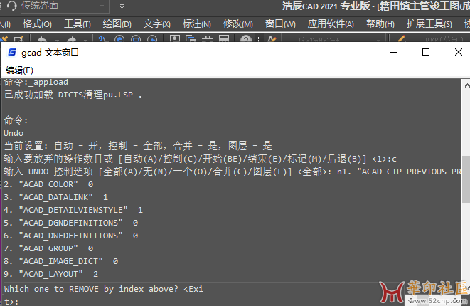 cad图纸清理小格局DICTS{tag}(1)