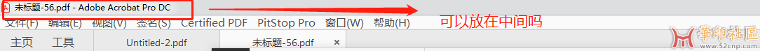 pdf的标题信息能否放在中间{tag}(1)