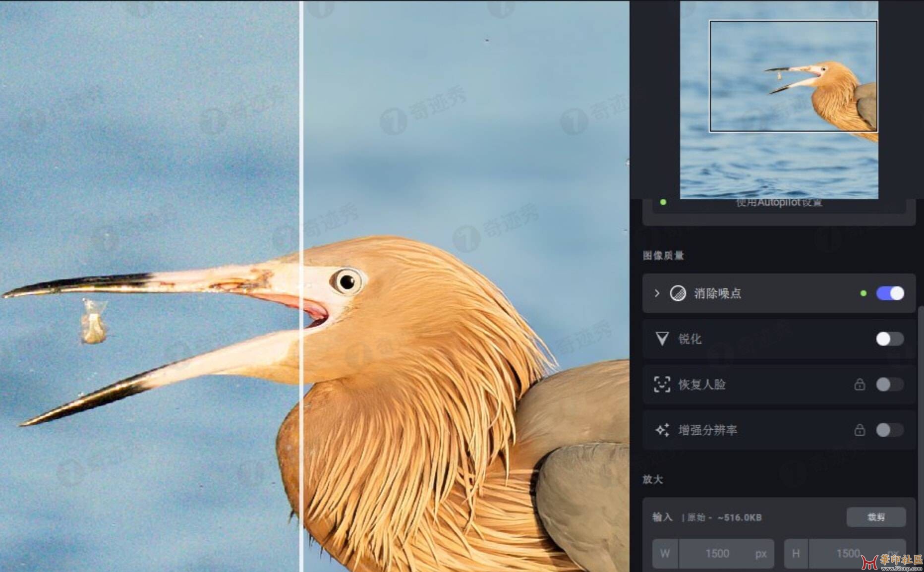 QQ20230215-113104@2x.jpg