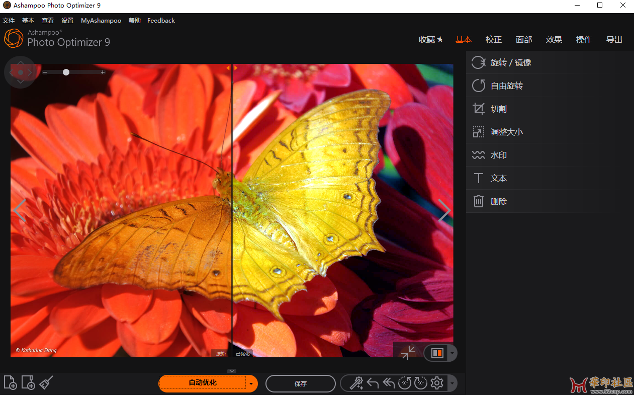 Ashampoo Photo Optimizer v9.3.7.36 图像优化{tag}(1)