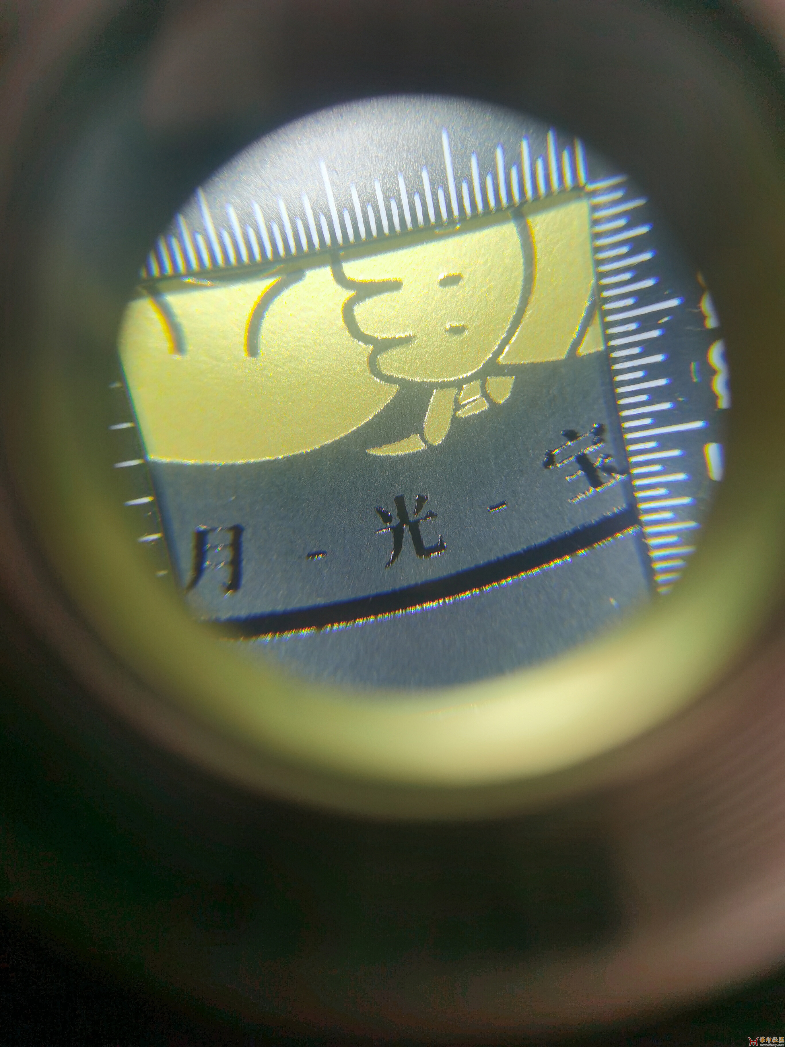 放大有油