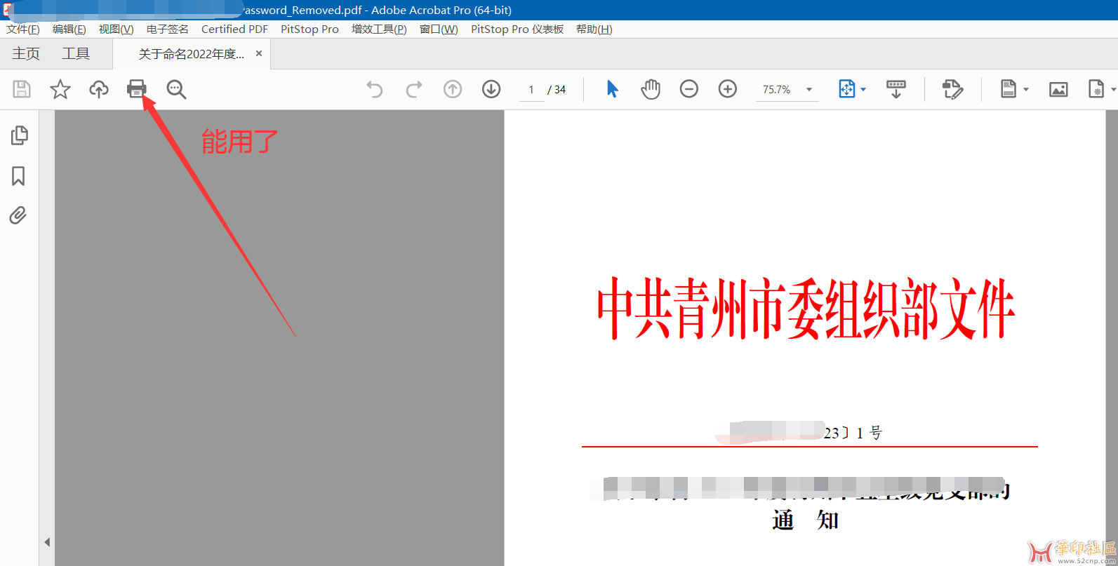 PDF Password Remover Ver 7.6.1{tag}(3)