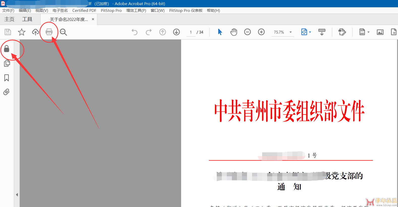 PDF Password Remover Ver 7.6.1{tag}(2)
