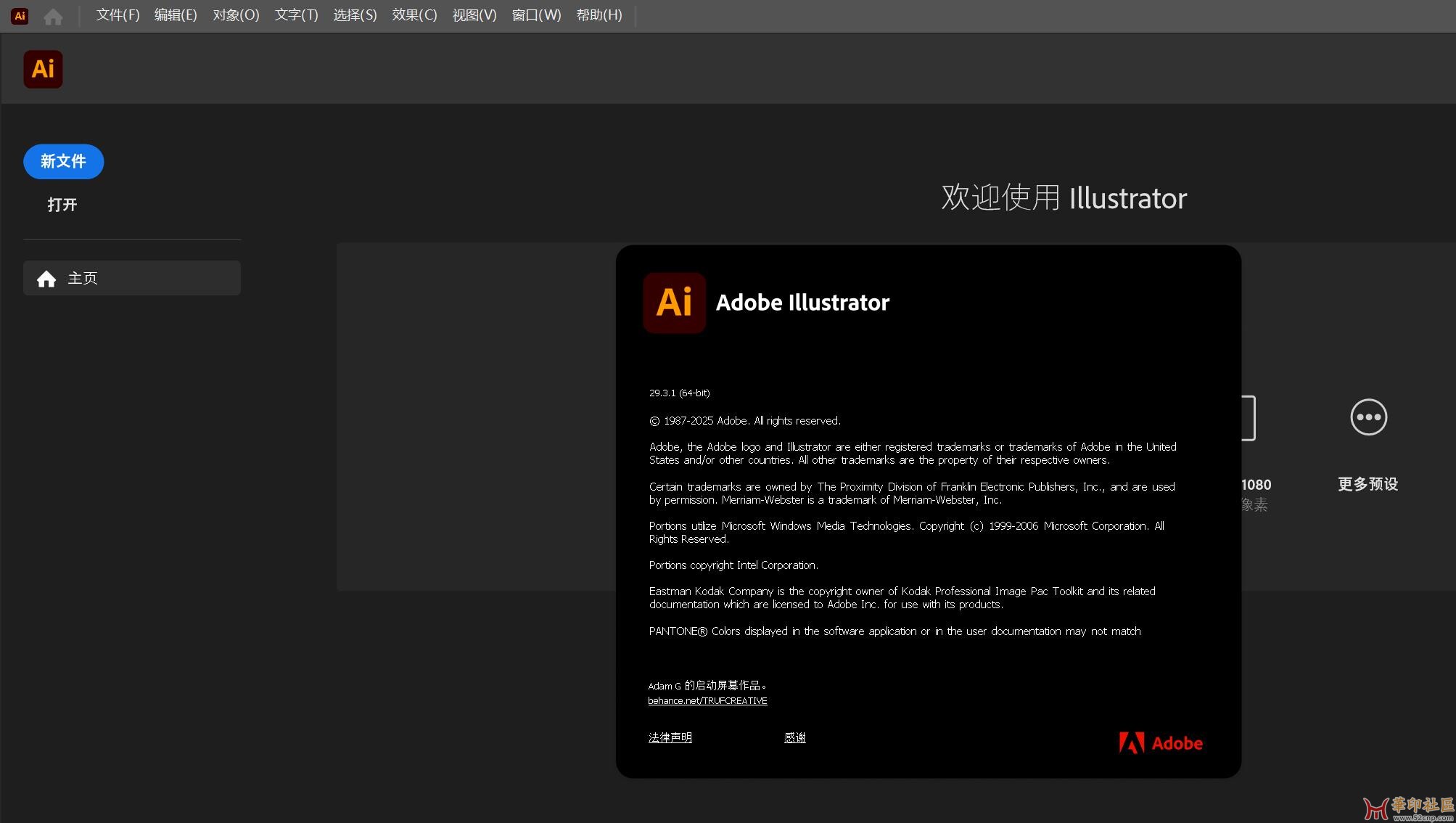 Adobe.Illustrator.2025.v29.3.1.151绿色便携免安装版-华印首发{tag}(2)