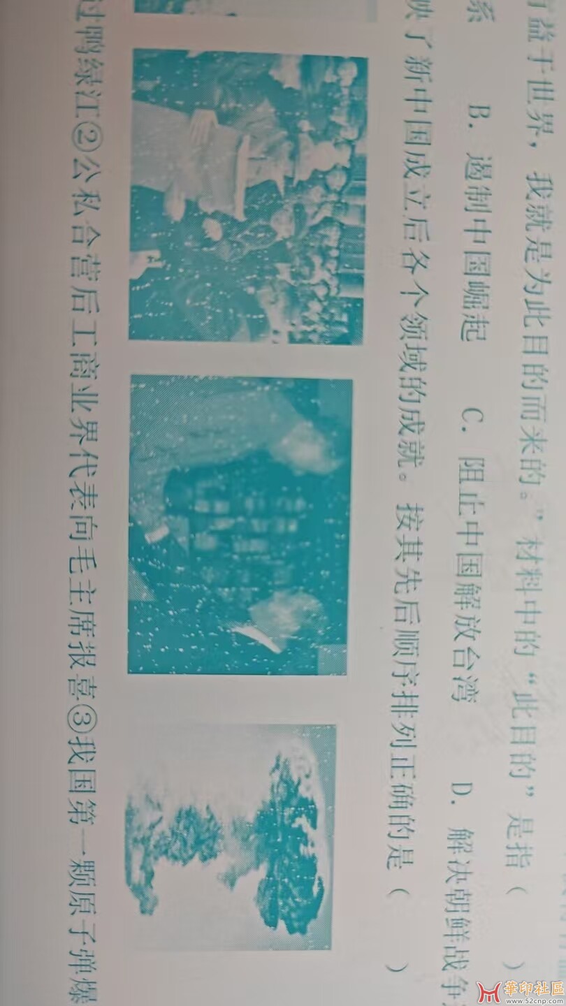 白点图片