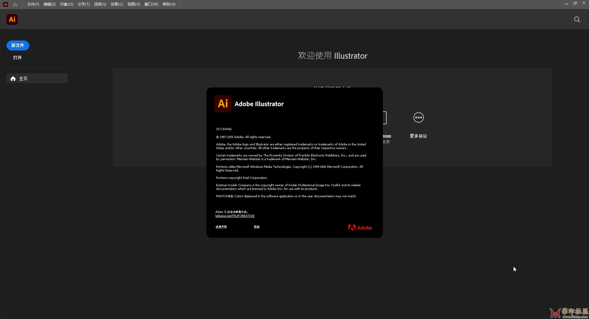 Adobe Illustrator 2025 v29.3.0.146 中文插件版 - 免安装版{tag}(1)