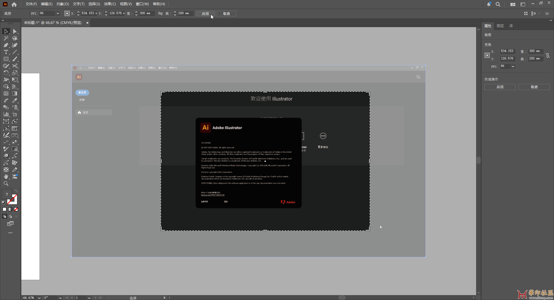 Adobe Illustrator 2025 v29.3.0.146 中文插件版 - 免安装版{tag}(1)