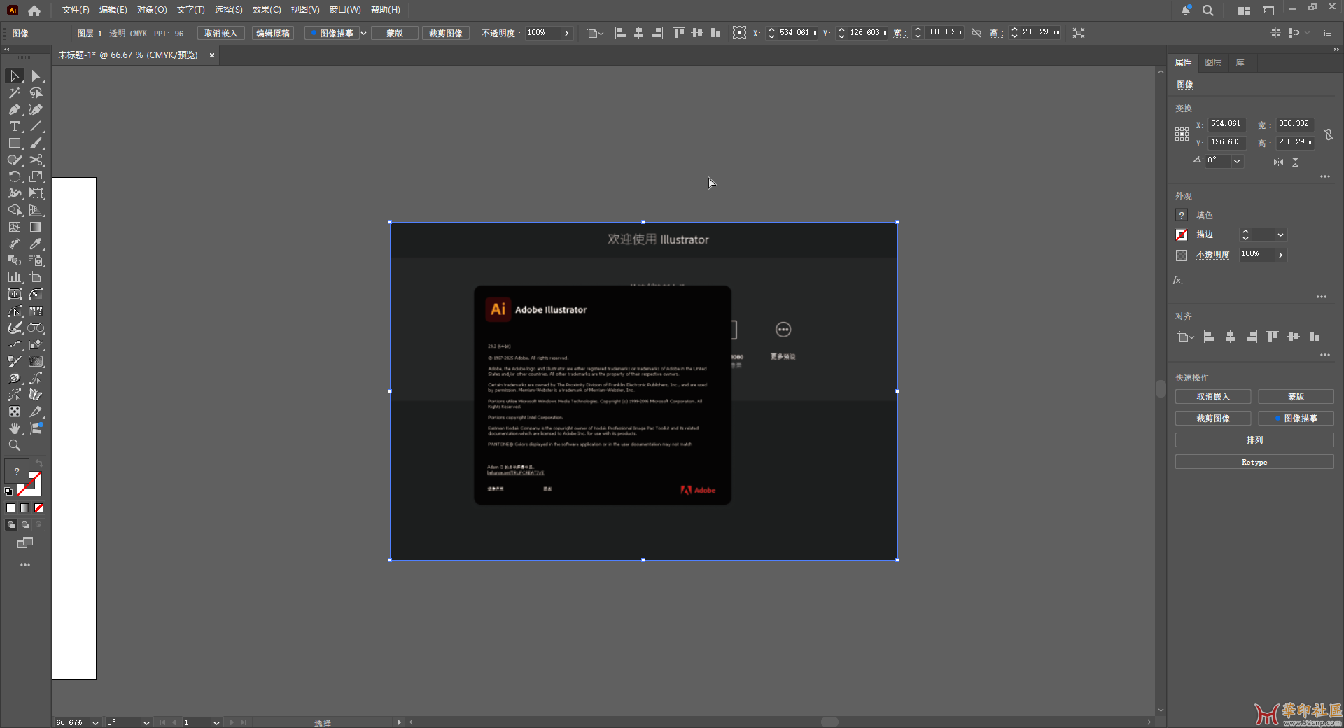 Adobe Illustrator 2025 v29.3.0.146 中文插件版 - 免安装版{tag}(2)