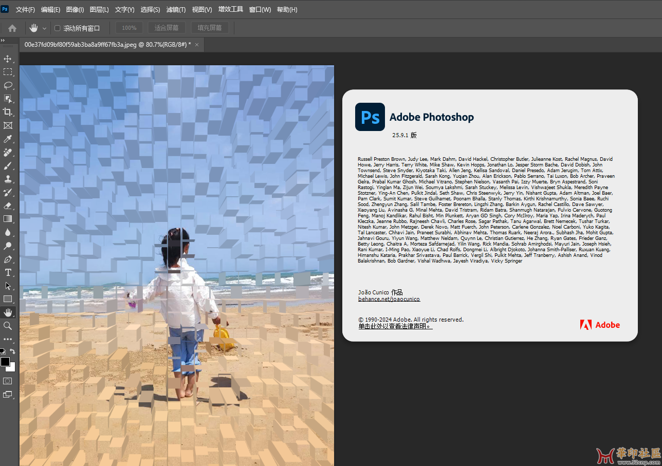 Adobe_Photoshop_2024_v25.9.1.626_x64_直装{tag}(2)