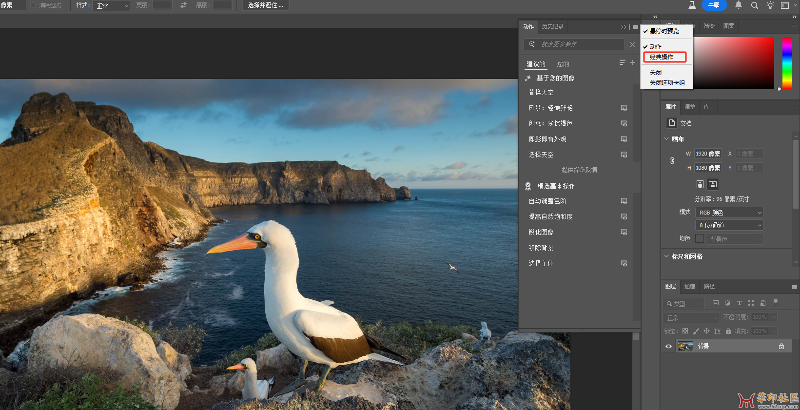 最新Adobe Photoshop Beta 2025 v26.7.0.3064 安装和免安装便携版更新{tag}(2)